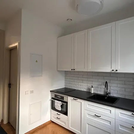 Vyduno 7 Apartment Kaunas